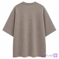 تیشرت بیسکویتی مردانه zara