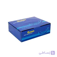 لنت ترمز عقب رنو تالیسمان کویین – QUEEN