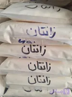 گزانتانگام