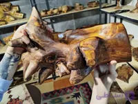 آجیل خوری چوب زردآلو با ریشه طبیعی