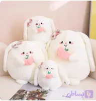 خرگوش هلو به دست