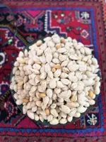 بادام پوست کاغذی محب