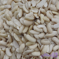 لوبیا کشاورزی نعنا آبی ۴۰۰ گرمی