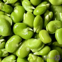 باقالی سبز نعنا آبی ۴۰۰ گرمی