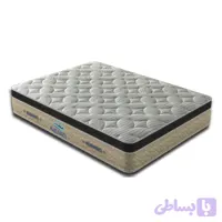 تشک رایمون 8