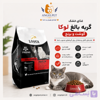 🐱 غذای خشک گربه بالغ لوکا مدل گوشت و برنج – ۲ کیلوگرم
