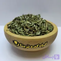 برگ کاسنی