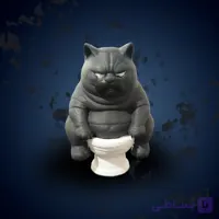 فیگور گربه چاق روی دستشویی