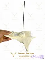جاعودی طبیعی لاک لاکپشت مدل – 2 / turtle-2