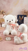 عروسک خرسی طرح تدی کد 9050