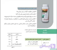 بلاستر