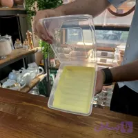 ظرف فریزری(جا گوشتی) سیلیکونی سایز عمیق کد 2152