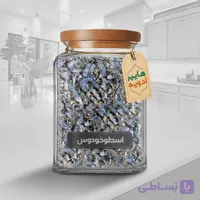 اسطوخودوس