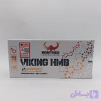 اچ ام بی وایکینگ