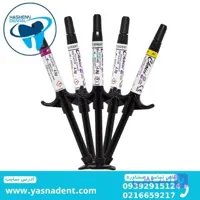 سمان رزینی چویس 2 بیسکو