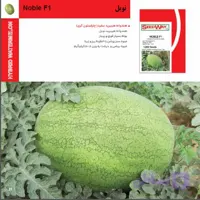بذر هندوانه نوبل