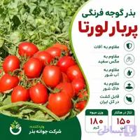 بذر گوجه فرنگی لورتا
