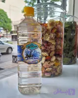 ریشه ی کاسنی وحشی