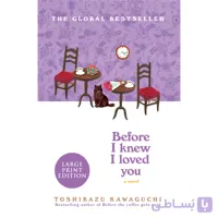 Before I Knew I Loved You