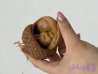 شمع سنجاب بلوطی