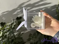 گیفت شمع قو با پلکسی