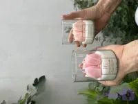 شات گل رز
