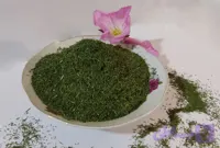 سبزی شوید خشک درجه یک با کیفیت عالی سالده، 100 گرمی