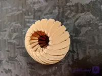 کلیپس مو آکاردئونی گوجه ای کرم