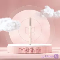 براش مثلثی شیگلم SHEGLAM Sharp Moves Triangle Brush