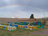 عسل چندگل 900 گرمی