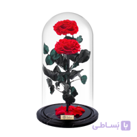 رز جاودان دیو و دلبر دو شاخه مدل پیوند