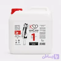 اکسیدان 6 درصد کی اس دی نمره 1 حجم 3750 میل KSD