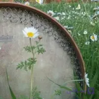 دف سما (رمو قدیم) به همراه کاور مرغوب فوم دار به همراه یک جلسه کلاس آموزش آنلاین