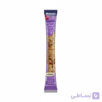 بستنی گربه وینیستون طعم گوشت گاو