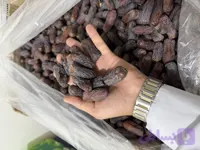 خرمای پیارم سوپر لوکس فله ای