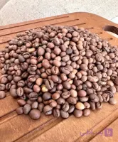 قهوه روبوستا پی بی (PB) هند – مدیوم شکلاتی (متوسط) / دان قهوه (آسیاب نشده) / 1 کیلویی