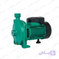 1 اسب بشقابی ونیز