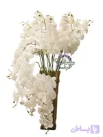 شاخه ارکیده لمسی سفید