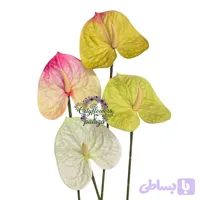 شاخه آنتوریوم لمسی