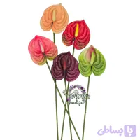 شاخه انتوریوم مینیاتوری لمسی (Touch)