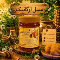 عسل گون طبیعی 500 گرمی
