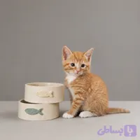 ظرف غذای حیوانات فیات