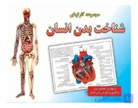 مجموعه کارت شناخت بدن انسان