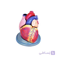 مولاژ قلب، 6 قسمتی