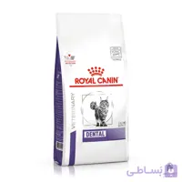 غذای گربه رویال کنین دنتال کر 1.5 کیلویی Dental Care