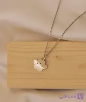 گردنبند نقره پنجه