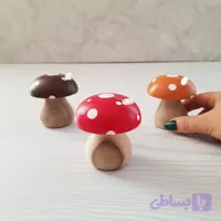 قارچ مگنتی چوب گردو