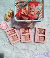 پالت آرایشی چندکاره S.F. COLOR | سایه چشم، رژگونه و هایلایتر
