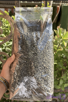 چای سبز خارجی ساچمه ای 1 کیلویی