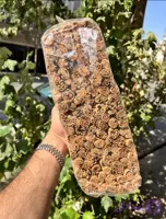 دارچین سیلان هندی اصل 1 کیلویی آقای زعفران